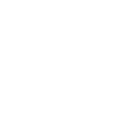 Canterbury Cricket Emblem
