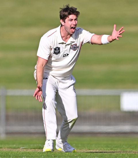 Sean Davey photograph